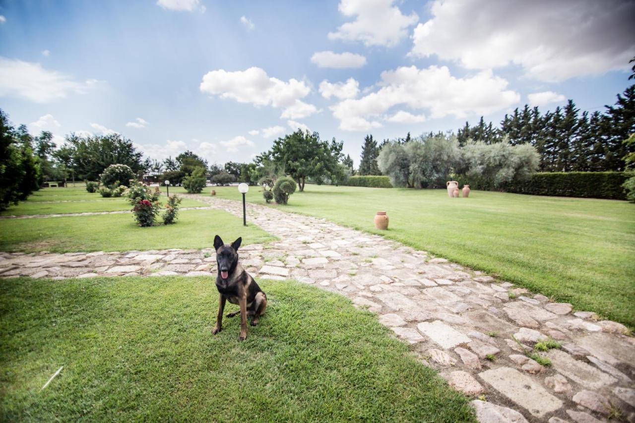 Agriturismo Le Giare Bagno Roselle 外观 照片